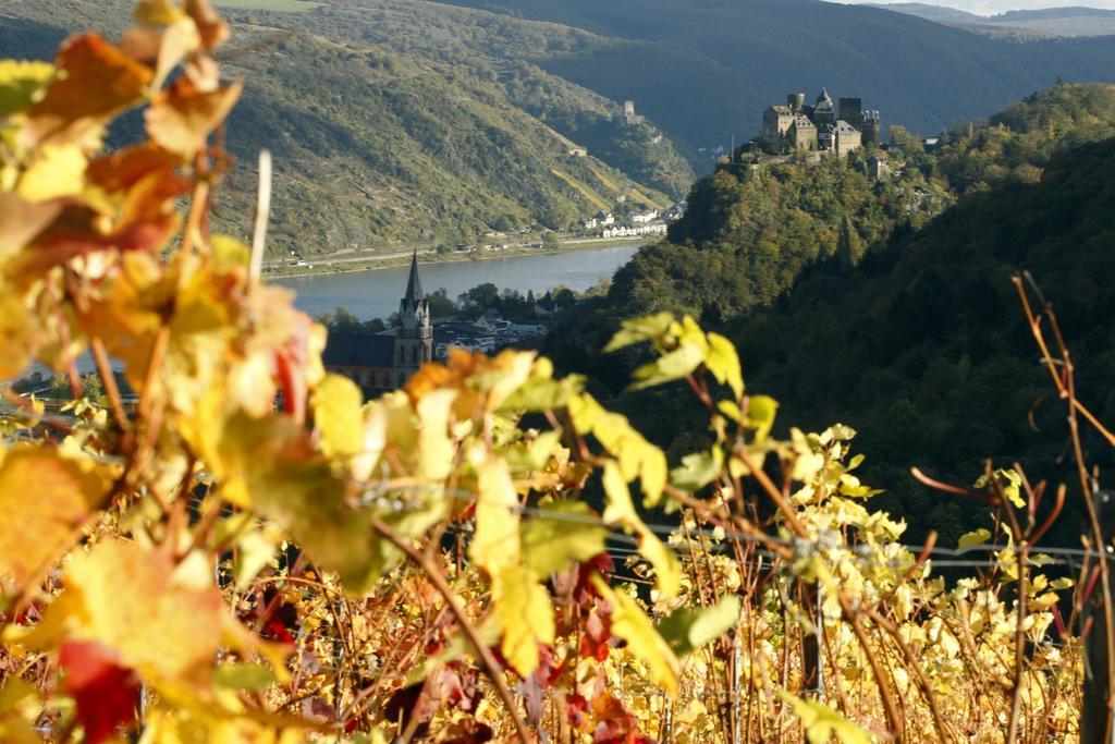 Готель Gutsschaenke Sennerhof Обервезель Екстер'єр фото